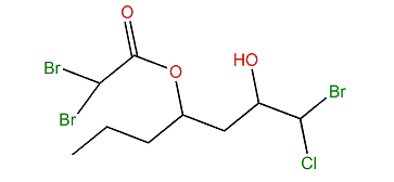 Ptilonine F
